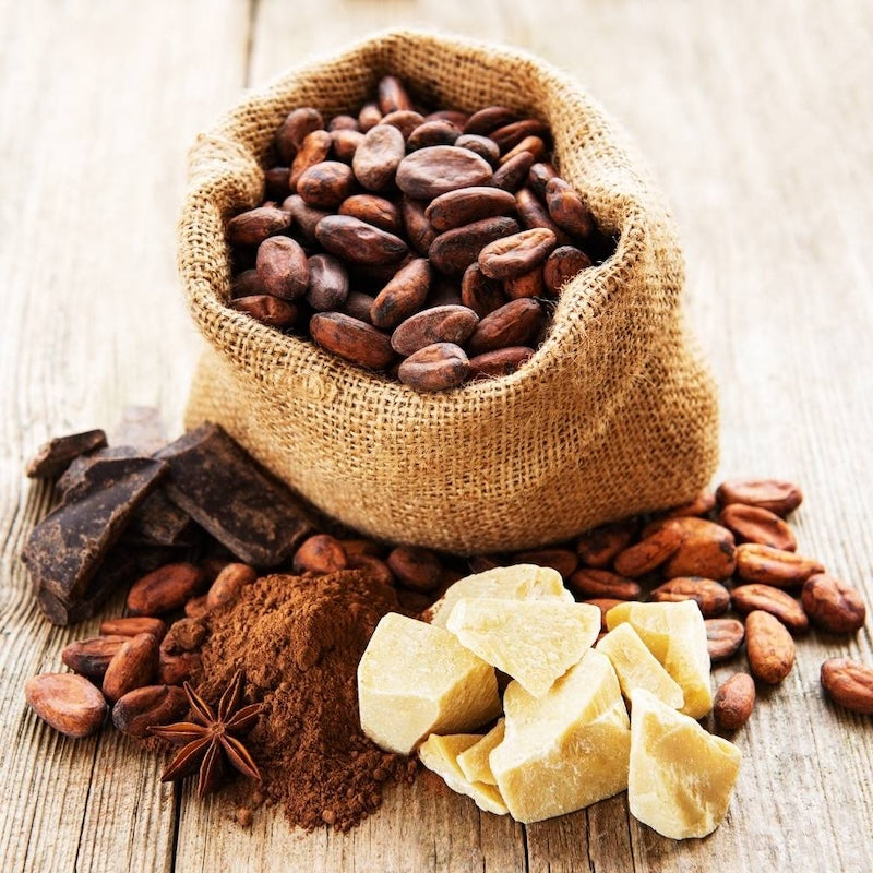 Chocolate Glow, Anyone? Why Theobroma Cacao (aka Cocoa Butter) is Your Skin’s New BFF